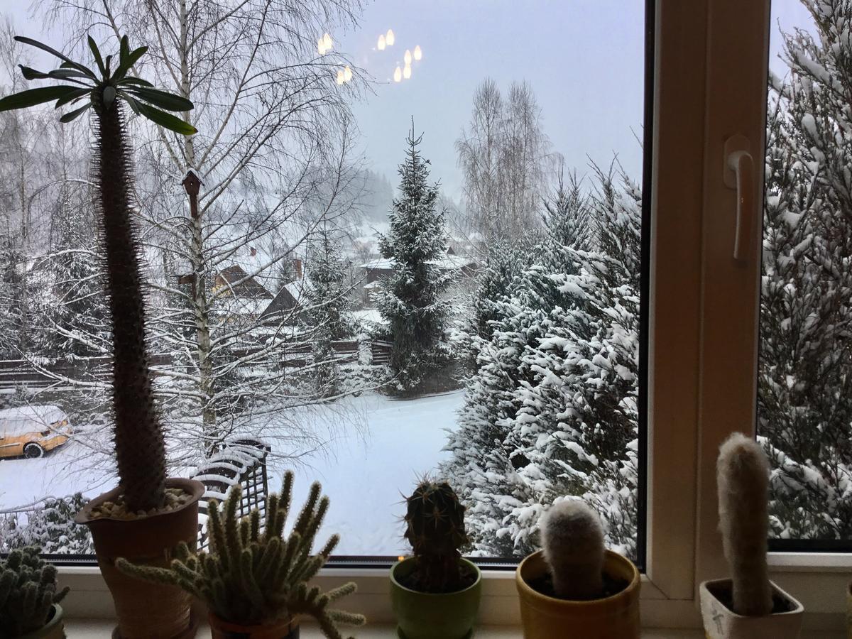 Sadyba Anastasia Slavske Bagian luar foto